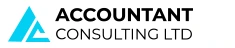 Accountant Consulting